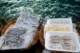 五島列島産　きびなごづくしセット　冷凍