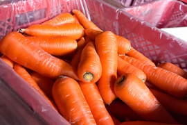 ポトフの湯気に甘みがのる【甘香橙にんじん】｜人参6kg