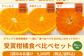 【ご好評につき完売】柑橘3種食べ比べセット（食べチョク公式）【みかん・柑橘グランプリ2026受賞】