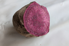 【規格外】鮮やかな紫色！紫芋（あやむらさき）4kg　特大