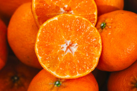 【予約限定価格】甘平 3kg 〜シャキッとした食感と弾ける粒感〜【家庭用】