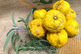 【傷あり】高知県産ゆず1㎏　 ＃栽培期間中農薬・化学肥料不使用