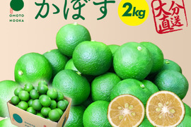 生でギュッと！残暑にはスッキリかぼす（２kg）