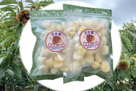 【先行予約】ほっこり甘さ凝縮！『冷凍むき栗』山鹿和栗 （250ｇ×2パック）５００ｇ箱入り
