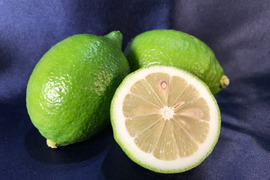 【果皮も安心】やさしい黒潮檸檬 4.5kg　節減対象農薬：当地比約75％減