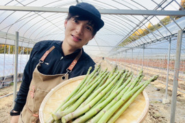 今が旬‼️（L〜２L）１kg　農家くんの春芽アスパラサイズ　混合