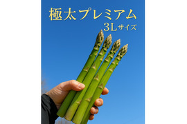 【20個限定】北海道産！青空アスパラ極太プレミアム(3L/１kg)