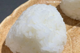 コメドッグアワードGOLD記念企画「令和７年三重県産特別栽培米コシヒカリ精米５ｋｇ」（簡易包装）