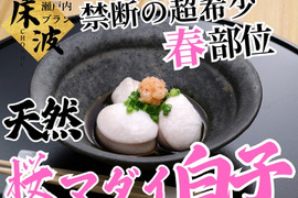 【禁断の春部位解禁】クリームを超えた旨味の宝庫超希少天然国産『桜真鯛大トロ白子』初登場🐟長州床波ブランド数量極少【4月下旬予約】