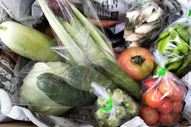 《自然栽培》夏秋　旬の手作り野菜セット【６～８種類】
