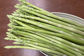 【期間限定価格】 やわらか食感のスリムアスパラ 1kg！静岡県産、毎日楽しめる旬の味