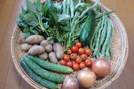 【自然栽培】高原の野菜セットS（7〜8品目）