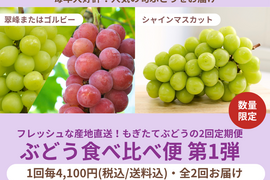【限定200セット】ぶどう食べ比べ便第１弾※送料込※（食べチョク公式）
