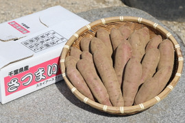 長期熟成！甘さ濃厚！千葉県産さつまいも【べにはるか】 約５kg サイズ色々の混載 鮮度を保つため土付き！