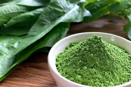 有機JAS認証取得『有機ほうれん草パウダー 50g』 野菜 パウダー オーガニック 農薬無散布 無添加 有機JAS認証取得