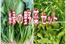 新商品‼️ほうれん草、春菊、水菜‼️緑のお野菜セット‼️各2袋ずつお入れします