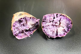 【訳あり土付き】鮮やかな紫芋！パープルスイートロード（総量4kg、S～L詰め合わせ、10〜15個）農薬・化学肥料不使用
