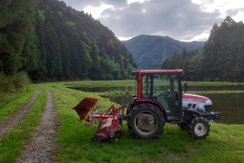農薬不使用【玄米 5kg】令和7年 京都・美山産