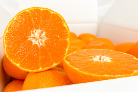 【百貨店で1400箱売れるドルチェみかん🥇】”完熟マルチ栽培”早生みかん10kg