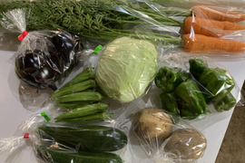 【自然栽培】会津伝統野菜含む5~8品目旬のお野菜セットMサイズ