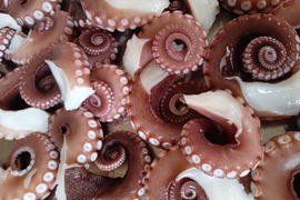 国産ぷりぷり『関門海峡たこ』小サイズ足1本ずつカット1.5kg(バラ冷凍)刺身、カルパッチョ、たこ飯、たこ唐など…夕飯に！お酒のあてに！直ぐ一品出来ますよ♪♪