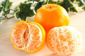 旬の柑橘二品種食べ比べセット《ポンカン3.5kg+伊予柑3.5kg》【柑橘食べ比べ】