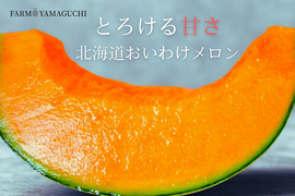 ギフト専門農家から！【北海道メロン】　大箱　８キロ