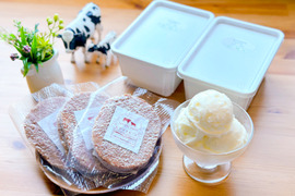 【夏ギフト】《今だけ300円引き✨》家族みんなで分けて食べれるファミリーサイズ(800ml) 2個と、冷凍のまま焼けるハンバーグ3個セット！