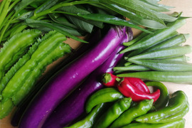 季節の野菜セット(5品目以上)