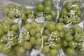 C 2【ご自宅用】シャインマスカット2kg箱（小房・粒不揃いなど）