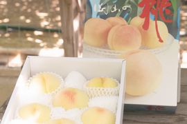 白桃 といえば 清水白桃 しっかり追熟して本来の美味しさを味わっていただきたい 岡山県産清水白桃 6～9個入り 2.0キロ以上