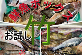 【知床らうす直送】試し鮮魚ボックス（詰め合わせ）竹コースお試し