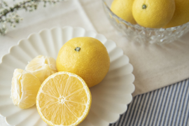 【先着5名様限定】伊藤農園認定 農家さんの木成り 完熟 黄金柑 特選 12個入【5月上旬より発送予定】354