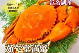 【浜名湖産】茹で堂満蟹(ノコギリガザミ)　小サイズ1杯約300～400ℊ