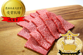 【夏ギフト】【数量限定／赤身焼肉用(500g)】佐賀牛★黒いダイヤモンド和牛★九州直送便【熨斗対応】