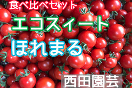 食べ比べセット エコスィート・ほれまる ミニトマト バラ各0.9kg計1.8kg