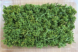 【春の香り】花山椒/はなさんしょう/天然/高級山菜/100g【4/21~22発送】【冷蔵便】