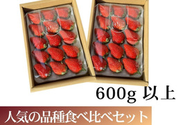 【食べ比べ】600g以上食べ比べセット！人気品種「紅ほっぺ」300g+静岡限定品種「きらぴ香」300g or 希少品種「おいCベリー」300gのどちらかのランダムパック!