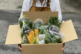 旬の野菜セットL/10-12品目【自然栽培】無肥料無農薬