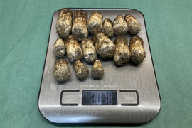 【天然茸】松茸/まつたけ秋の天然きのこといえばこちら/つぼみコロ/78g