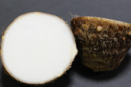 掘りたて直送❗愛媛県産 純白の里芋（さといも） 4.5㎏