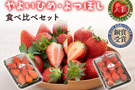 贅沢いちごの食べ比べ！やよいひめ・よつぼしセット250g×2パック