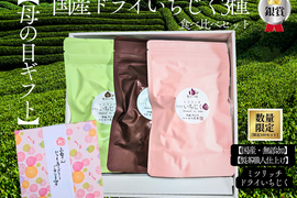 母の日 ギフト　たっぷり300g　国産ドライいちじく 3種食べ比べ セット 　国産 無添加 ドライいちじく 2026 プレゼント 花以外 ミツリッチ　母の日ギフト　送料別