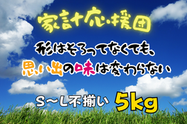 食費削減ネギ！規格外S～２L(5kg)