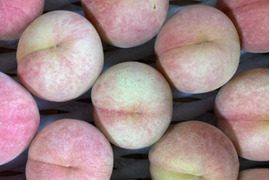 🍑桃水🍑3キロ箱　訳あり家庭用
