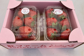 【母の日ギフト】食べ比べ4品種セット