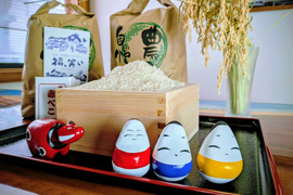 会津産　福笑い　10キロ　（白米）