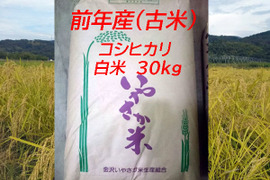 <古米>令和４年産コシヒカリ 白米 30kg 【金沢いやさか米】