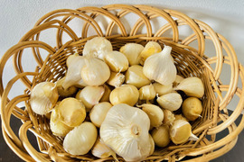 オーガニックホワイト六片 〈バラ売り〉500g🧄有機栽培🌿Organic Piece of Garlic