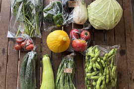 ギフトにも！【今が旬！10種類の夏野菜セット】/農薬・化学肥料不使用（簡単な調理例記載あり！）
